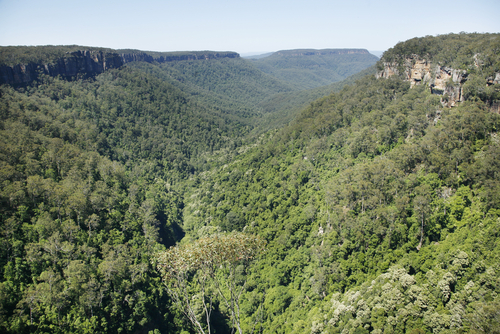 kangaroo valley