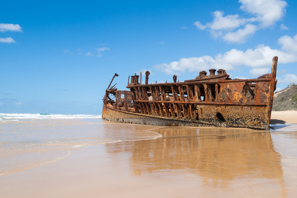 Lady Elliot Island