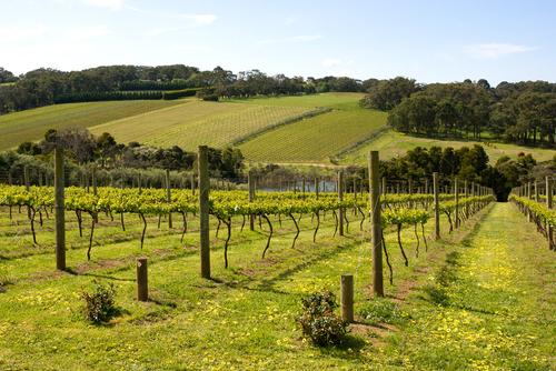 Mornington Peninsula