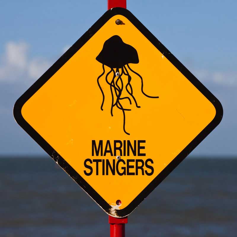 marine stingers signage