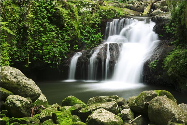 Lamington waterfalls