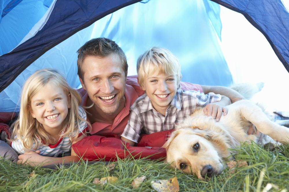 Best Dog-Friendly Caravan Parks