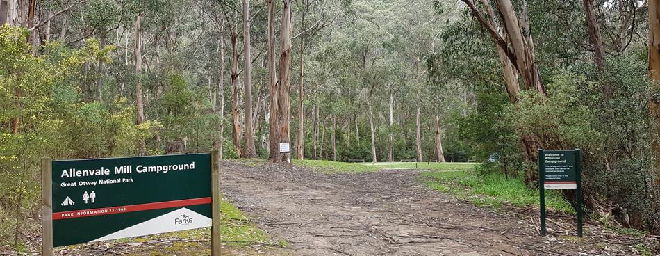 Best Places Camp Great Ocean Road Allenvale Mill Walk in Campground