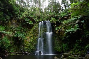 Best Places Camp Great Ocean Road beauchamp falls